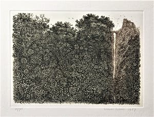 Simon Koene - Tropisch oerwoud met kloof en burcht kopen? Bied vanaf 30!