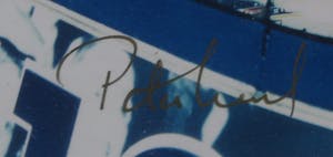 Niet of onleesbaar gesigneerd - Foto, Air Canada Centre, Maple Leaf - Ingelijst kopen? Bied vanaf 1!