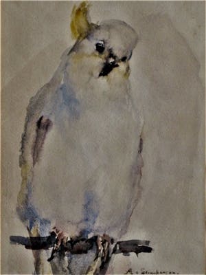Niet of onleesbaar gesigneerd - Fraaie omstreeks 1920 te dateren Aquarel "Kuif Kaketoe" gesigneerd kopen? Bied vanaf 1!