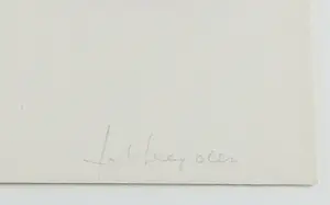 JCJ VANDERHEYDEN - Kleurets, Beeldscherm - Ingelijst kopen? Bied vanaf 250!