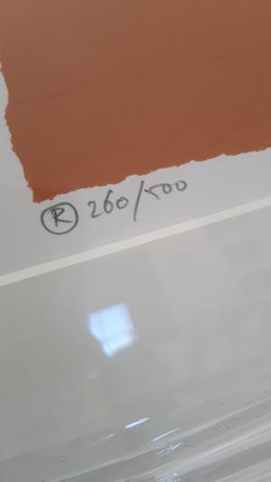Hans Innemee - De blauwe kikker kopen? Bied vanaf 30!
