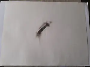 Roland van den Berghe - Stropdas kopen? Bied vanaf 20!