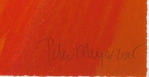 Peter Meijer - Zeefdruk, Aurora borealis - Ingelijst kopen? Bied vanaf 50!