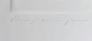 Harry van Kuyk - Reliëfdruk, Letter F - Ingelijst kopen? Bied vanaf 1!