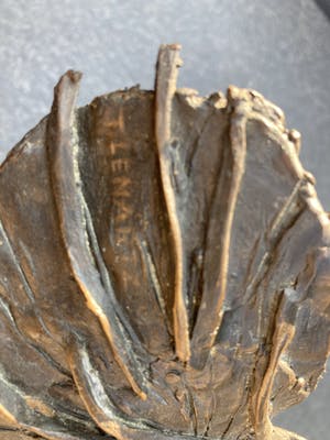 Theo Lenartz - Opgejaagd kopen? Bied vanaf 550!