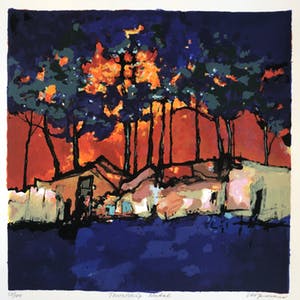 Machiel Hopman - Townshipo Natal kopen? Bied vanaf 85!