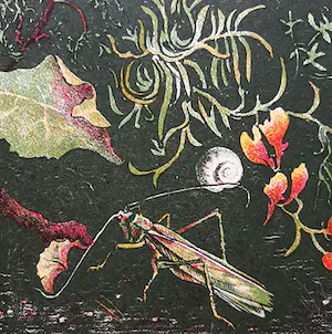 Wim Schuhmacher - Plantjes met insecten, litho kopen? Bied vanaf 25!