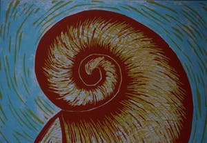 Janeke Wienk - Litho - Slakkenhuis 1990 kopen? Bied vanaf 60!