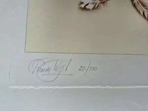 Buy Marion van Nieuwpoort - litho 20/100, gesigneerd rechtsonder? Bid from 75!