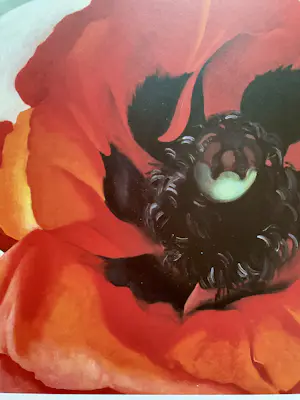 Georgia O’Keeffe - Set van drie prints,Klaproos,Trompetbloem en Bladeren Patroon kopen? Bied vanaf 30!