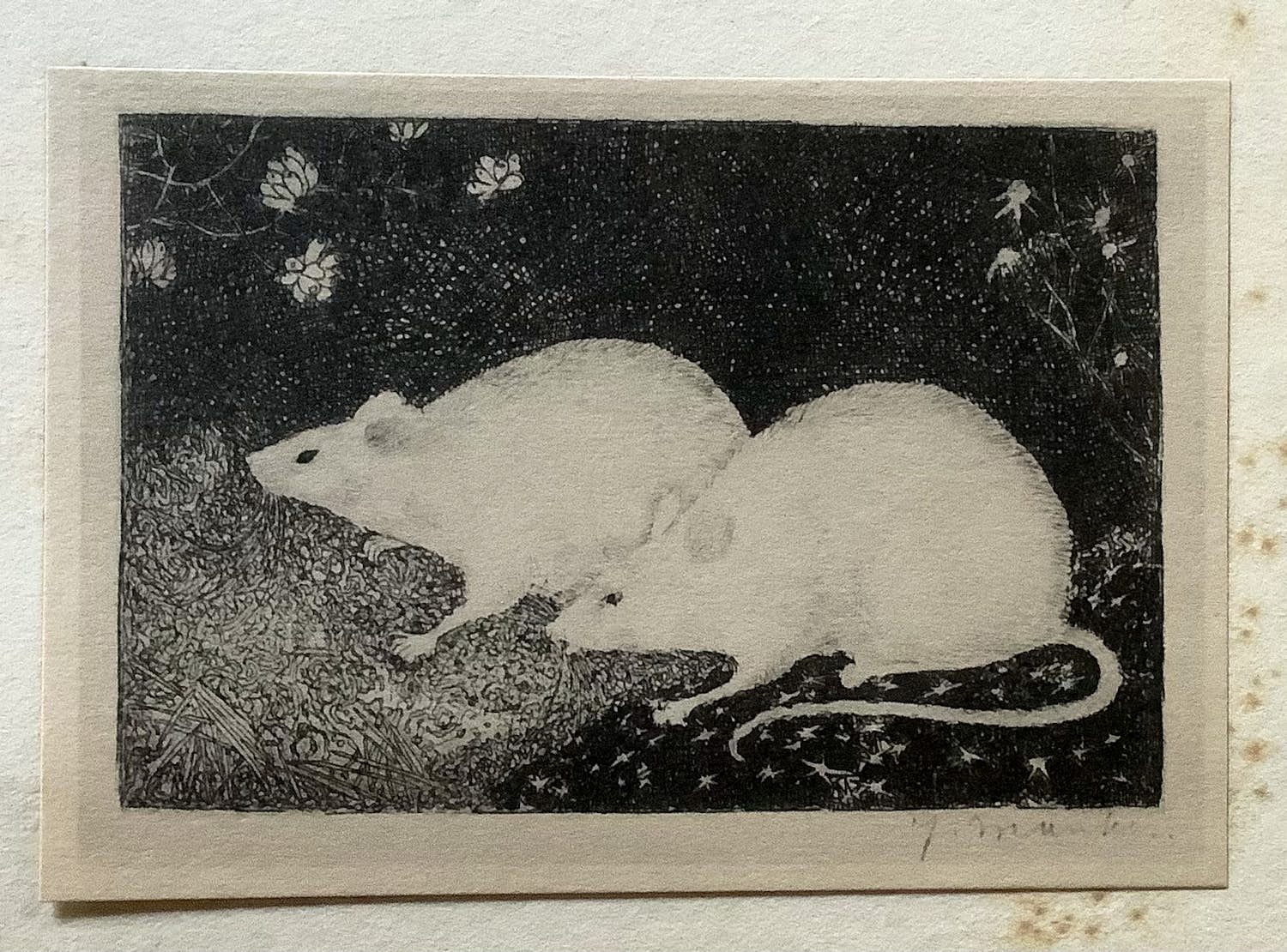 Jan Mankes - 2 Muizen kopen? Bied vanaf 50!