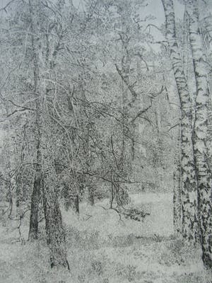 Charles Donker - BOS X kopen? Bied vanaf 160!