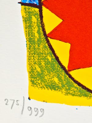 Clemens Briels - Cameleon - Zeefdruk kopen? Bied vanaf 50!