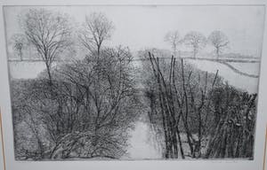 Charles Donker - 4e staat, proefdruk: Struiken en stammen in sneeuwlandschap kopen? Bied vanaf 395!