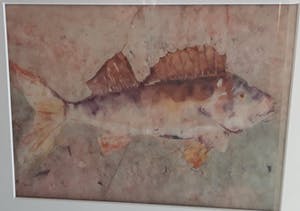 Gerda Spierenburg - Baars kopen? Bied vanaf 20!