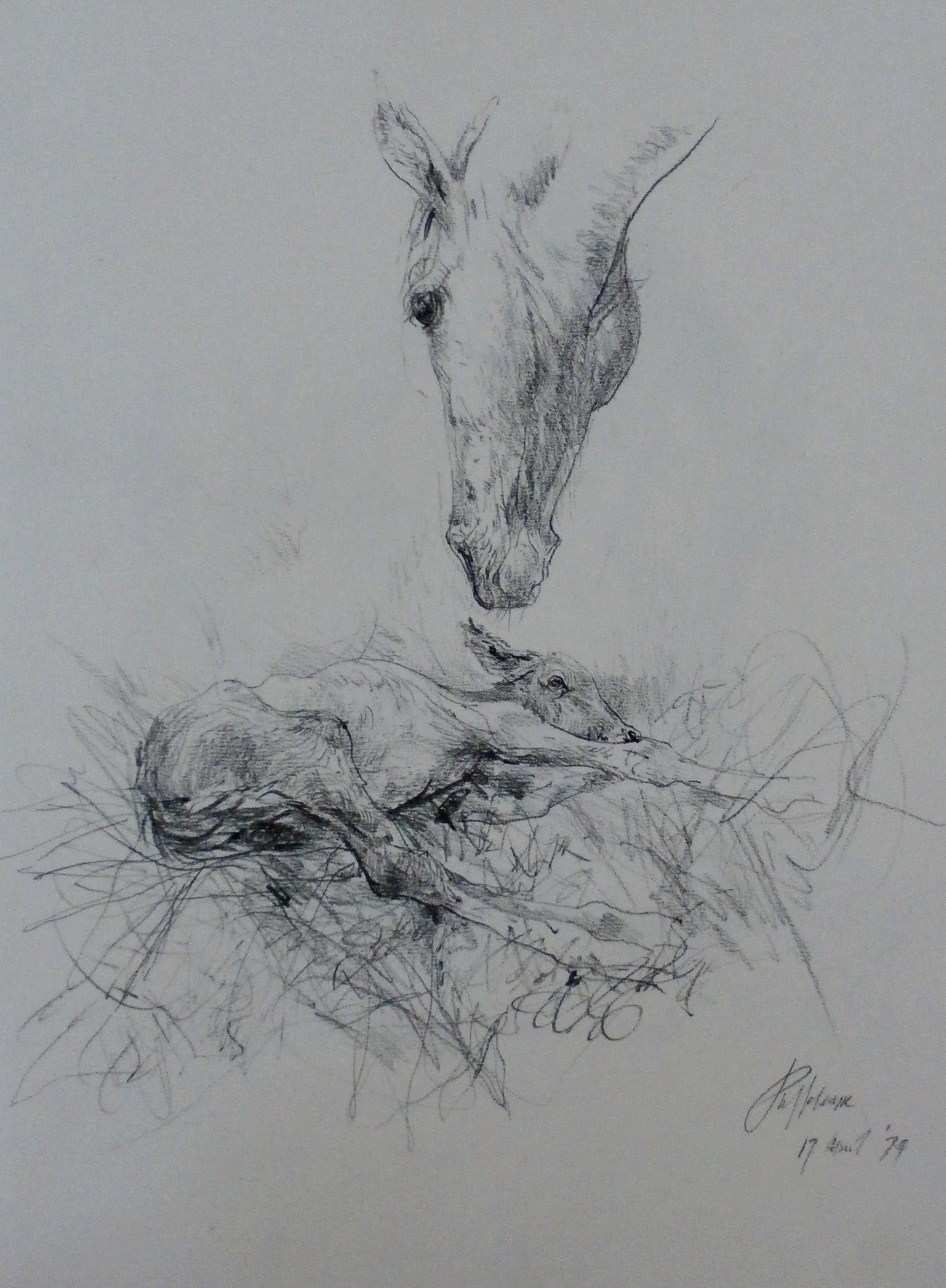 Piet Klaasse - 2 litho's - 1974 verkocht voor € 45!