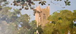 John Haskins - Cricket op een zomerse dag, groot formaat kopen? Bied vanaf 500!