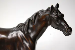 Irénée Rochard - Paard in draf kopen? Bied vanaf 2000!