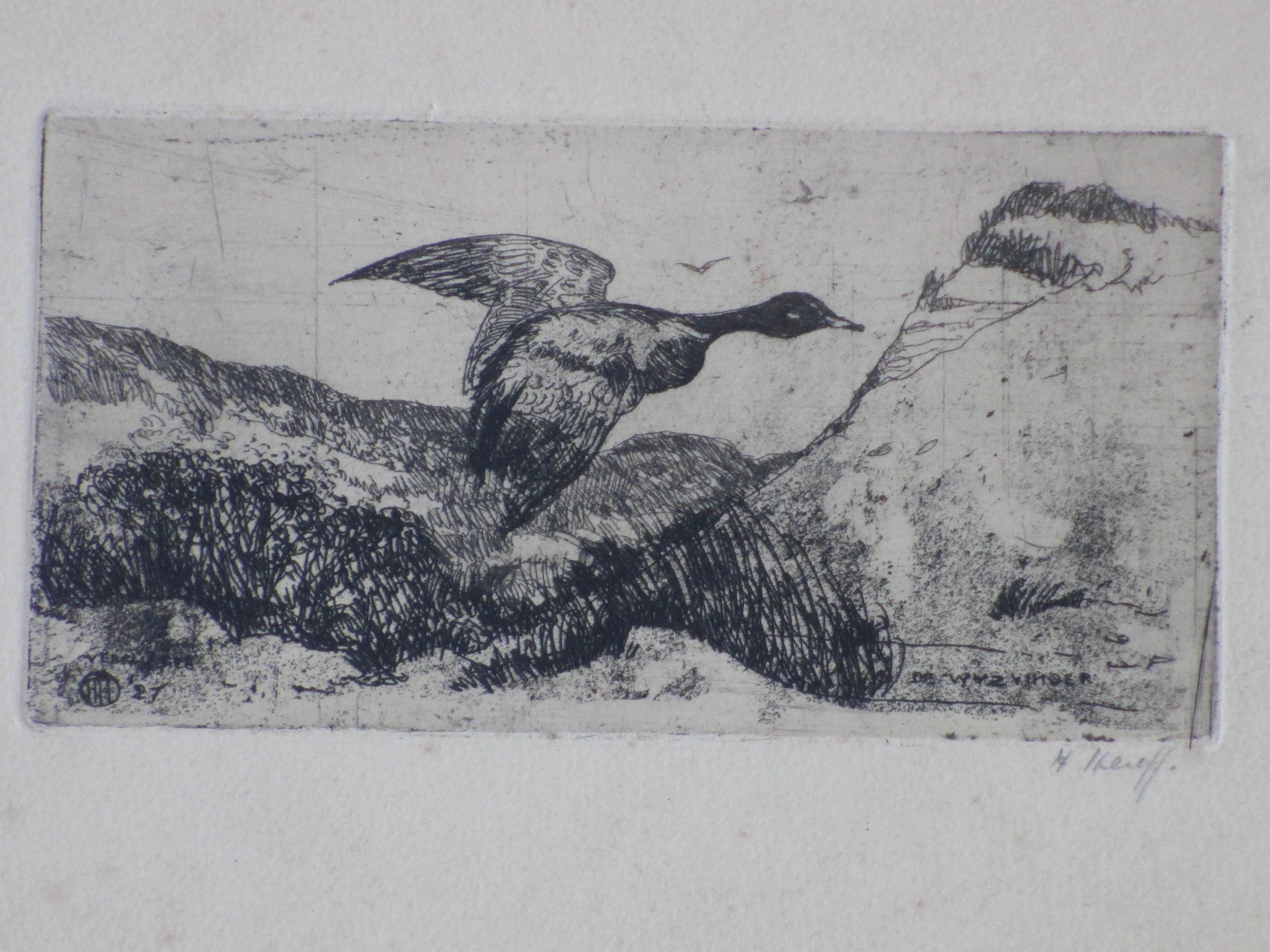 Herman Heuff - Eend in het duin - Ets verkocht voor € 35!