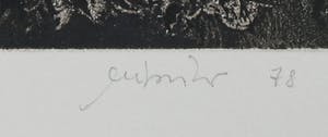 Bruno Missieri - Aquatint, Cespuglio kopen? Bied vanaf 1!