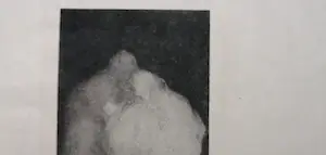 Richard Roland Holst - Weedom kopen? Bied vanaf 30!