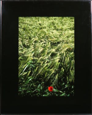 Paul Huf - Foto, Zonder titel - Ingelijst kopen? Bied vanaf 1!