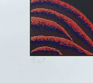 Shinkichi Tajiri - Koan, gesigneerde computerprint incl. originele bewaarmap kopen? Bied vanaf 65!