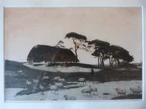 Tjeerd Bottema - Schaapskooi, Ede verkocht voor € 75!