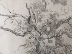 Willem Roelofs - Studie van een eik (Frankrijk 1848) kopen? Bied vanaf 100!