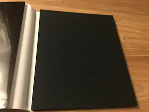 Diana Kortbeek - Beelden en schilderijen kopen? Bied vanaf 20!