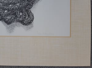 Har Sanders - Striktouw kopen? Bied vanaf 60!