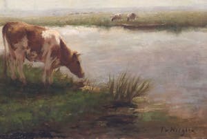 Fedor van Kregten - C3777, Koeien aan de waterkant kopen? Bied vanaf 450!