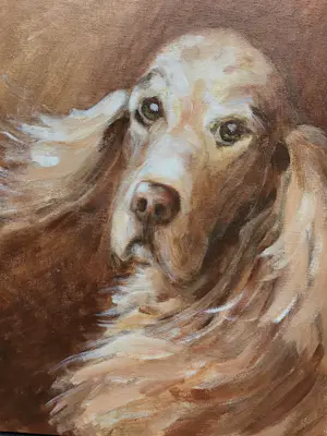 Niet of onleesbaar gesigneerd - Schilderij van hondje op board, in baklijst kopen? Bied vanaf 10!