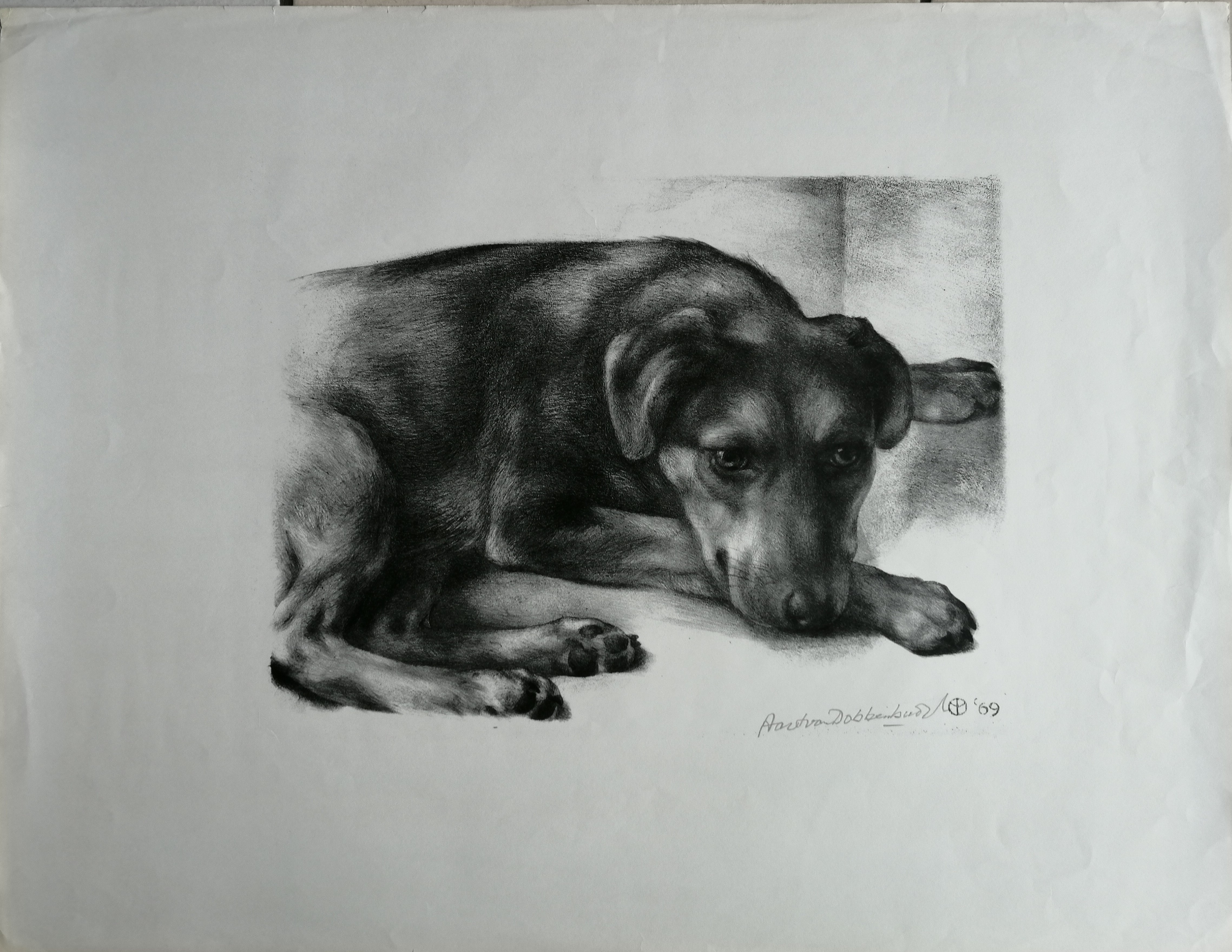 Aart van Dobbenburgh - Liggende hond kopen? Bied vanaf 25!