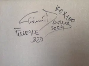 Giovanni Daurea - Floreale 320 kopen? Bied vanaf 240!