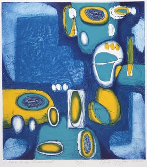 Hans Heijman - Kleurenets, Reis in de binnenwereld kopen? Bied vanaf 1!