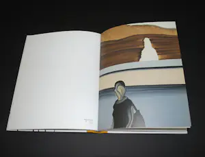 Wilhelm Sasnal - K21 Düsseldorf, overzicht werk 1999-2009 kopen? Bied vanaf 65!