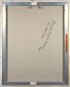 Bert Braam - Acryl op doek, Plantaardige waaier kopen? Bied vanaf 10!