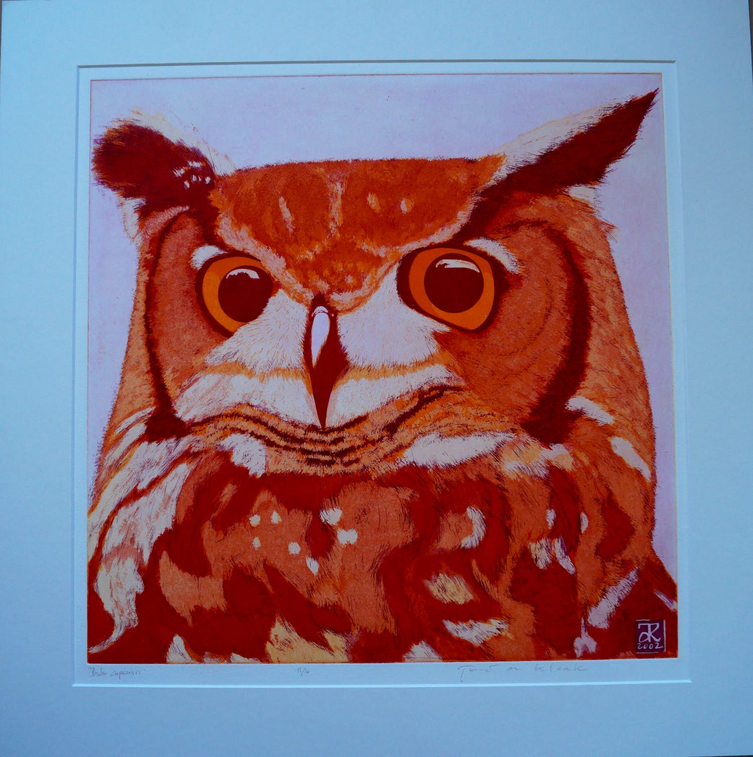 Toni de Klerk - Bubo cupeustion verkocht voor € 45!