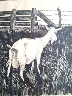 Jan Veringa - Geit bij het water kopen? Bied vanaf 60!