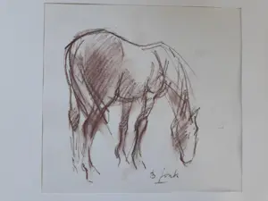 Bert Jonk - Paard in de weide kaufen? Bieten Sie von 1!