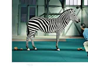 Mr. Strange - Les Zèbres kopen? Bied vanaf 85!