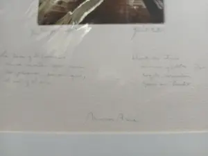 Antonio Guirado - HOUT EN HUIS / LA CASA Y EL TEMPO (MARCOS ANA CYCLUS) kopen? Bied vanaf 200!