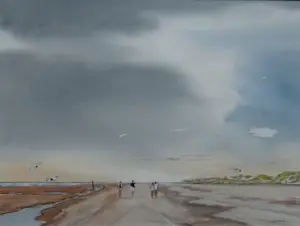 Franklin Meijer - Strand - Wandel 6 daagse kopen? Bied vanaf 55!