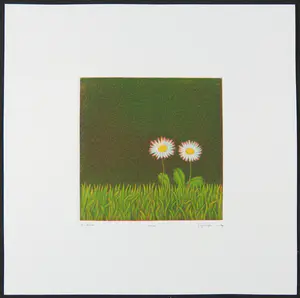 Joop Vegter - Mezzotint, Twee madeliefjes kopen? Bied vanaf 50!