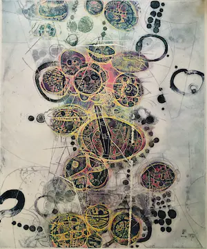 Shoichi Hasegawa - Ombre et Lumière - kleuren-ets met relief kopen? Bied vanaf 240!