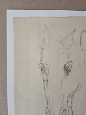 Douwe Jan van der Zweep - Paardenhoofd. Potlood. kopen? Bied vanaf 48!