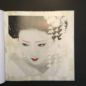 Harold Aspers - Portraits selected works 2014-2016 kopen? Bied vanaf 1!