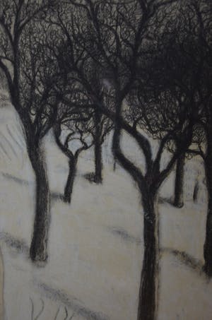 Benny Van Groeningen - Winterlandschap kopen? Bied vanaf 100!