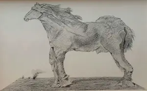 Max Ernst - Map met 34 werken: Histoire Naturelle - 1972 kaufen? Bieten Sie von 499!